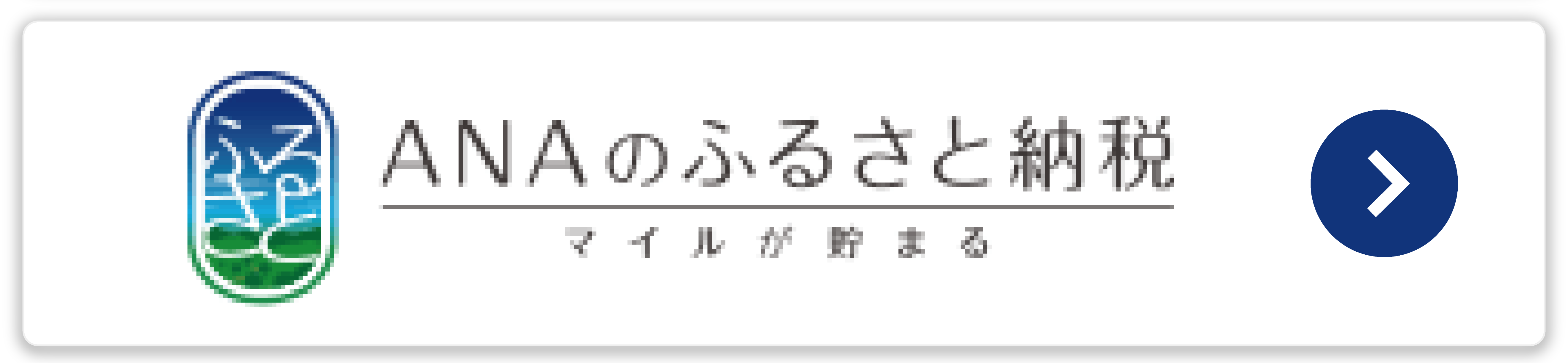 ANAのふるさと納税